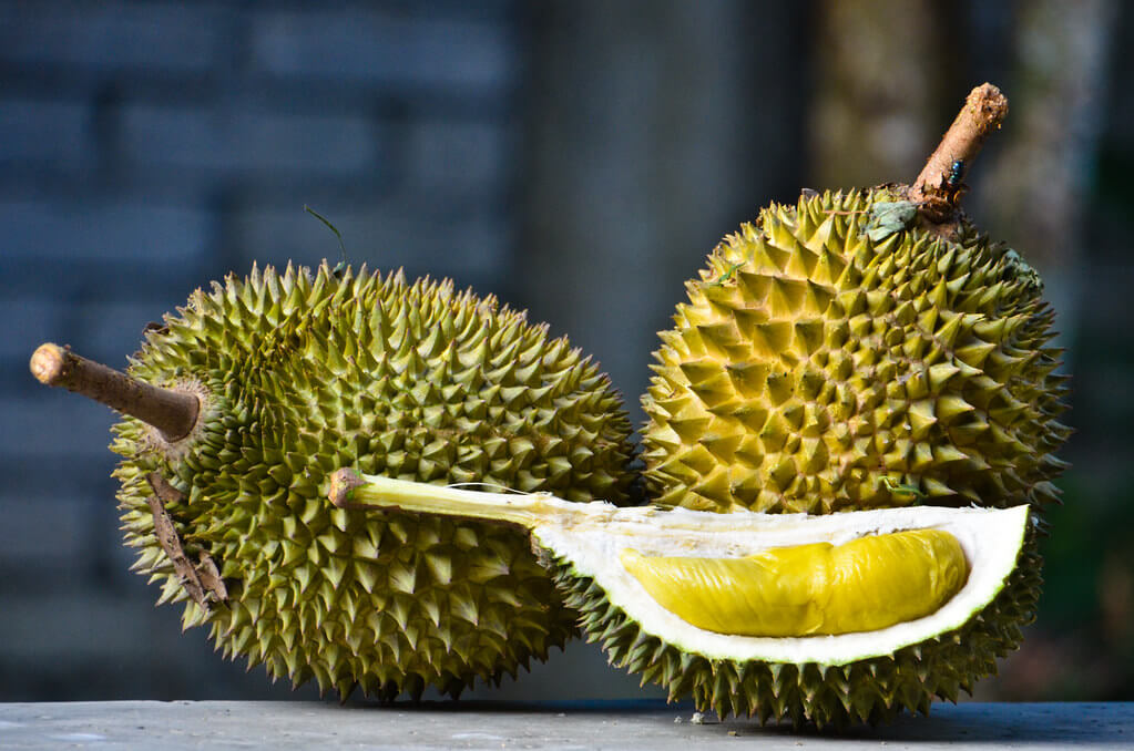 What Makes Durian So Divisive