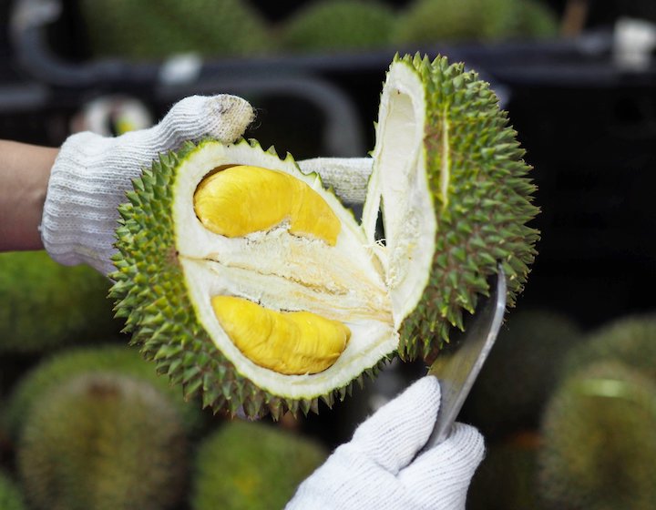 What Are the Reasons for Keeping the Ban on Durians in Singapore