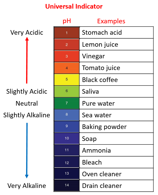 Is Bleach Acid Or Alkaline
