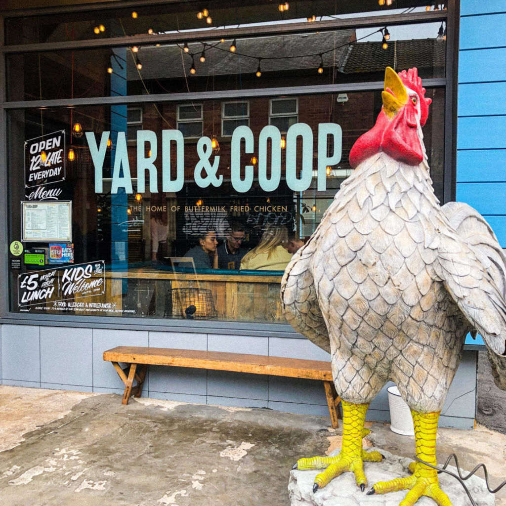 Yard & Coop